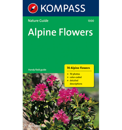 Alpine Flowers