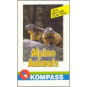 Alpine Animals