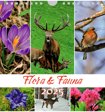 Postkartenkalender, querformat FLORA & FAUNA 2025