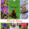 Postkartenkalender, querformat FLORA & FAUNA 2025