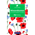 Wiesenblumen