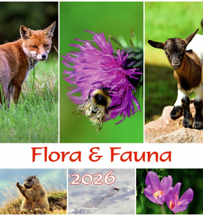 Calendario piccolo Flora & Fauna 2026