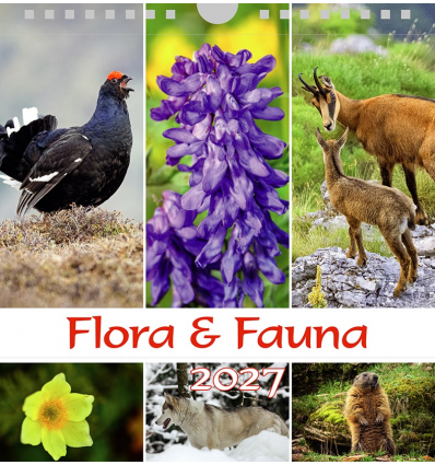 Postkartenkalender Flora & Fauna 2027